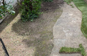 Élagueur à Pierrelaye