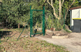 Élagueur à Pierrelaye